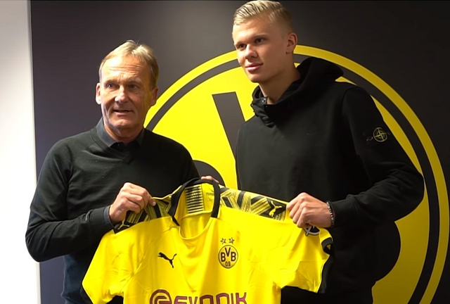 你手心与书 你手心与书